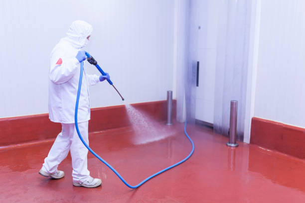 Best Sidewalk and Walkway Pressure Cleaning in Highlands, CA